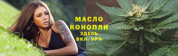 дурь Бородино