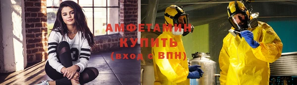 дурь Бородино