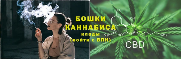 дурь Бородино