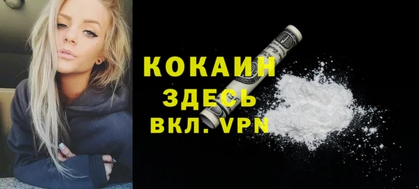 дурь Бородино