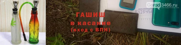 дурь Бородино