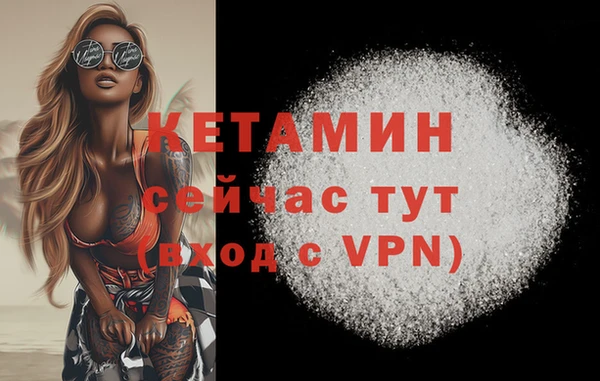 дурь Бородино