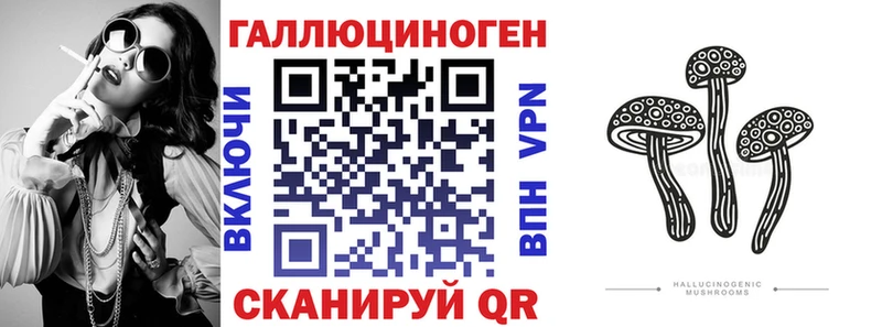 как найти закладки  Новосокольники  Псилоцибиновые грибы мицелий 